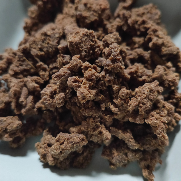 Nv hbOt[h xj\XB[g|eg