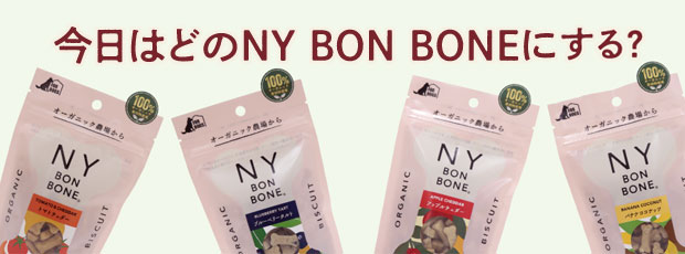 NY BON BONE@Y@t[YhC@@Ic@pg[c