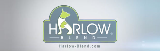 HARLOW BLEND n[Euh hbOt[h Lbgt[h